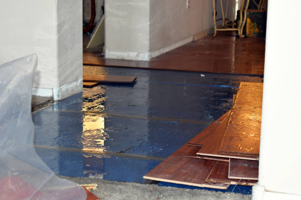Professional Emergency Water Damage Restoration technician working in Hamburg, NJ